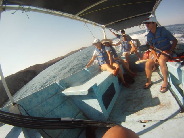 Visitas guiadas de snorkel